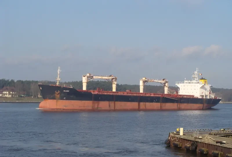 OCEAN RIDER Bulk Carrier IMO 9083823 photo 10