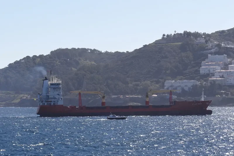 ATLAS TRADER General Cargo IMO 9083902 photo 10