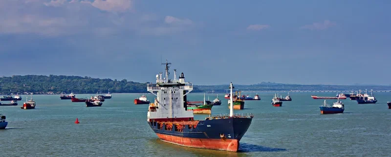 DELE Container Ship IMO 9083914 photo 3