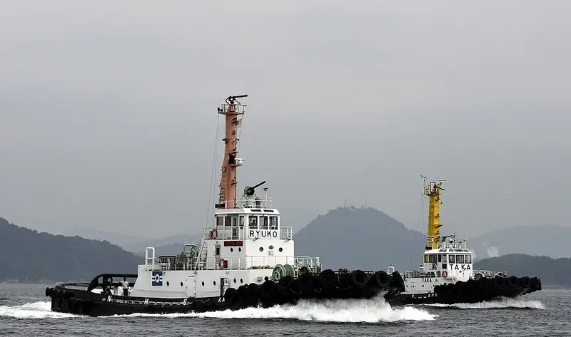 RYUKO MARU General Cargo IMO 9084073 photo 2