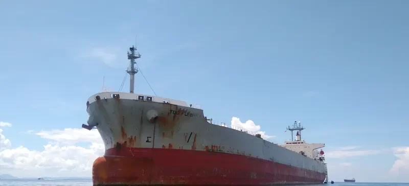 FU SHENG Bulk Carrier IMO 9084164 photo 3