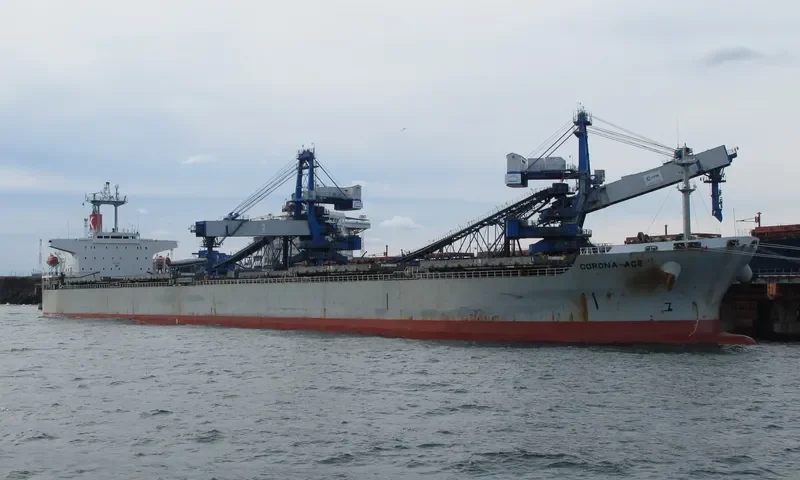 FU SHENG Bulk Carrier IMO 9084164 photo 9