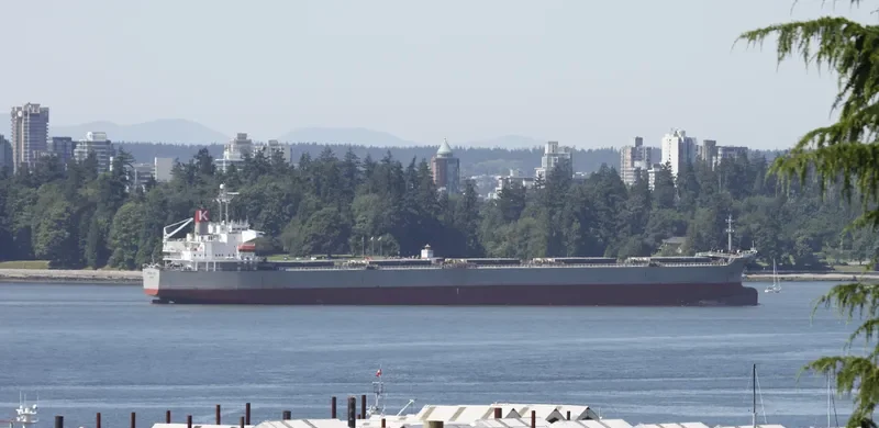 FU SHENG Bulk Carrier IMO 9084164 photo 10