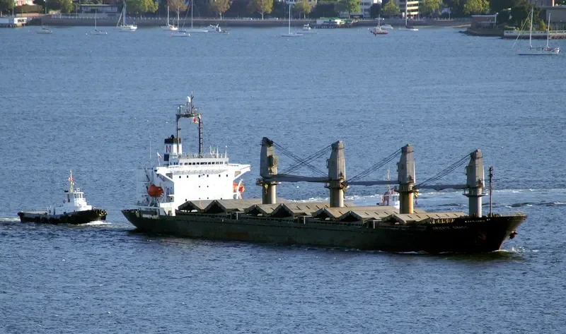 BAO YUN Bulk Carrier IMO 9084217 photo 3