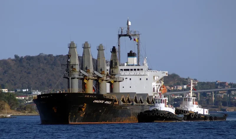 BAO YUN Bulk Carrier IMO 9084217 photo 4