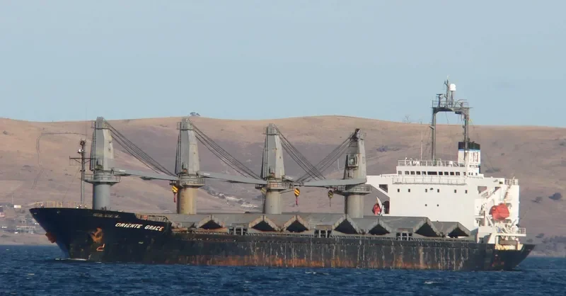 BAO YUN Bulk Carrier IMO 9084217 photo 6