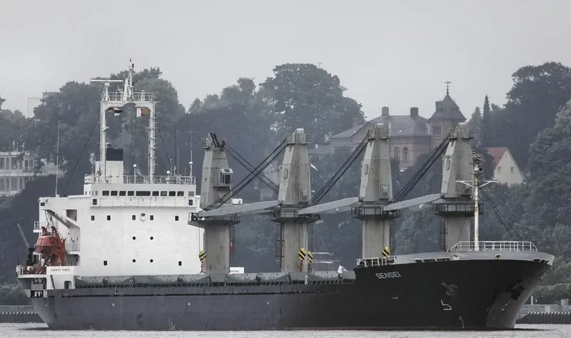 SENSEI Bulk Carrier IMO 9084229 photo 3