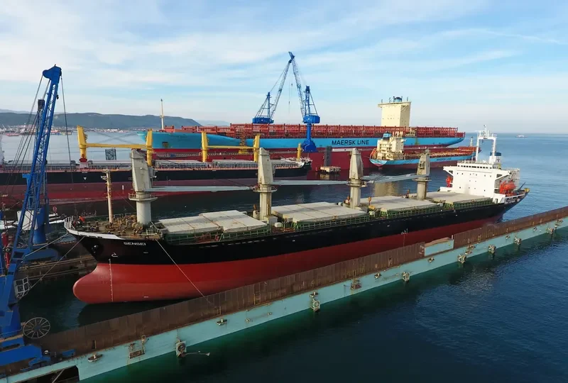 SENSEI Bulk Carrier IMO 9084229 photo 4