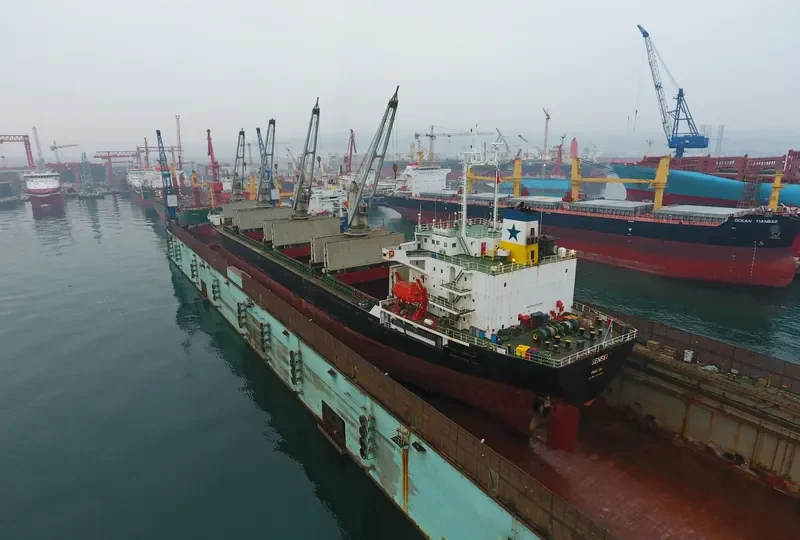 SENSEI Bulk Carrier IMO 9084229 photo 6
