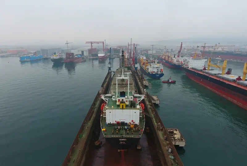 SENSEI Bulk Carrier IMO 9084229 photo 7