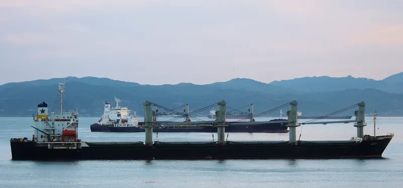SENSEI Bulk Carrier IMO 9084229 photo 10