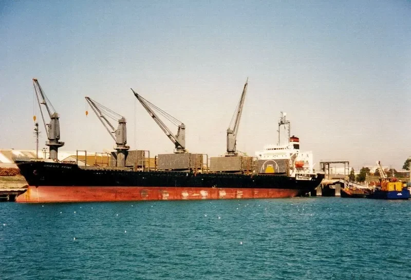 TAI FU Bulk Carrier IMO 9084231 photo 6