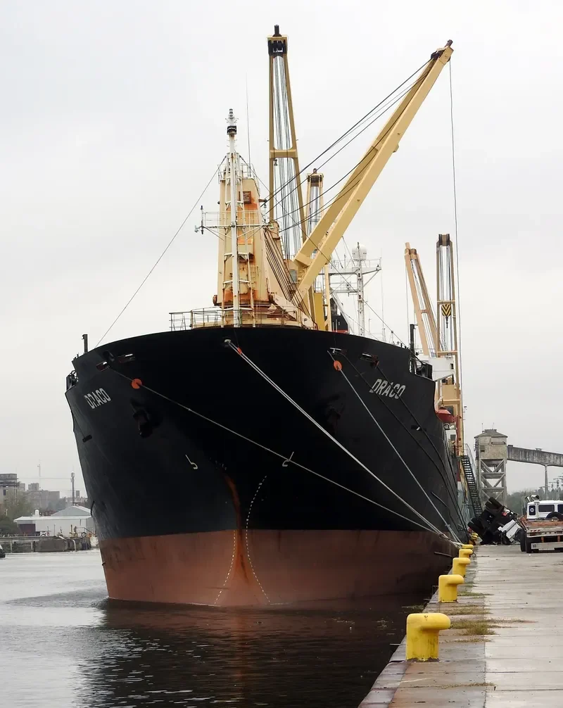 INCHCAP Bulk Carrier IMO 9084255 photo 3