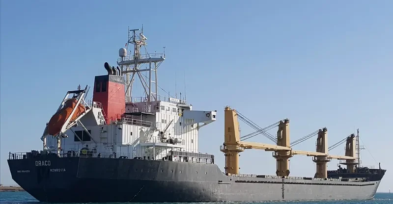 INCHCAP Bulk Carrier IMO 9084255 photo 6