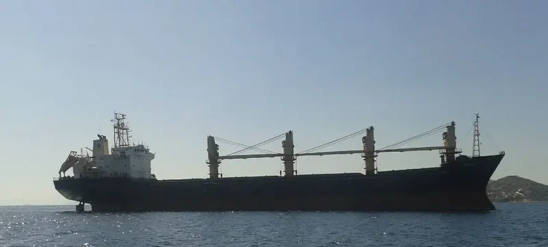 INCHCAP Bulk Carrier IMO 9084255 photo 8