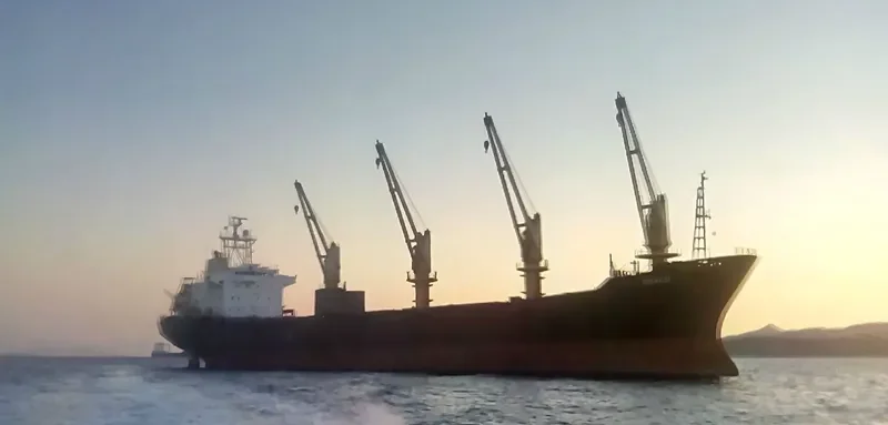 INCHCAP Bulk Carrier IMO 9084255 photo 9