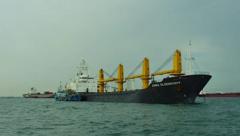 RISING Bulk Carrier IMO 9084267