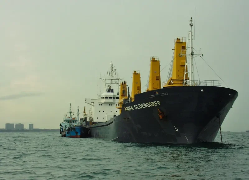 RISING Bulk Carrier IMO 9084267 photo 2
