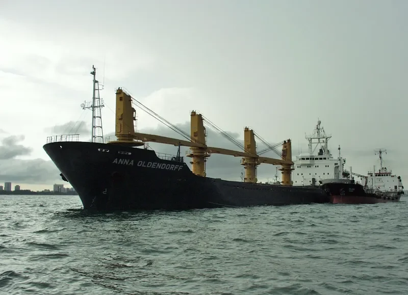 RISING Bulk Carrier IMO 9084267 photo 3