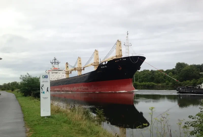 RISING Bulk Carrier IMO 9084267 photo 4