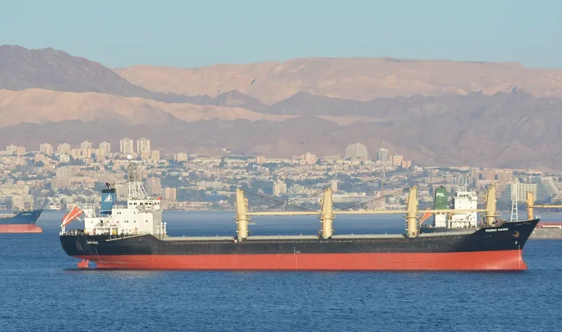 RISING Bulk Carrier IMO 9084267 photo 5