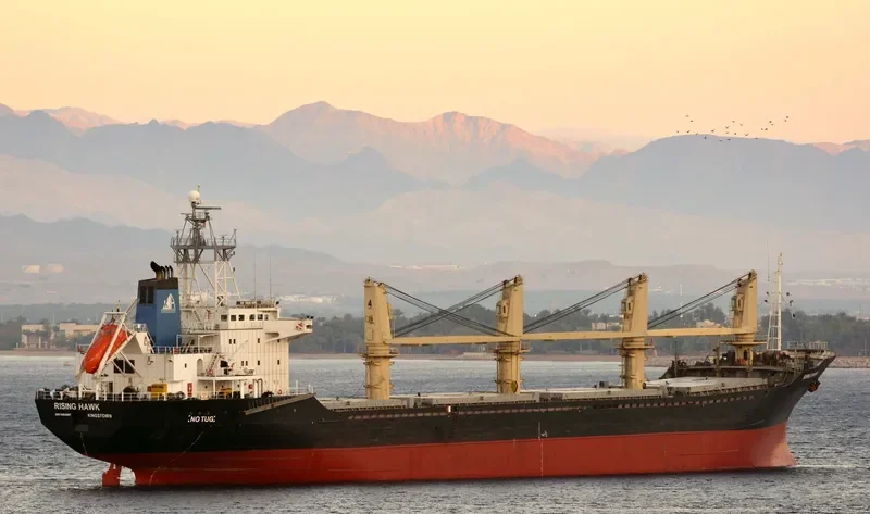 RISING Bulk Carrier IMO 9084267 photo 6