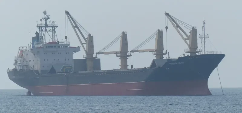 RISING Bulk Carrier IMO 9084267 photo 7
