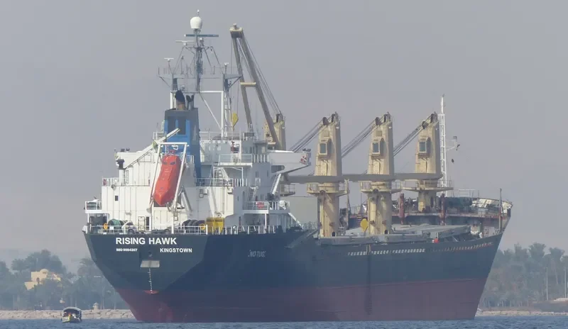 RISING Bulk Carrier IMO 9084267 photo 8