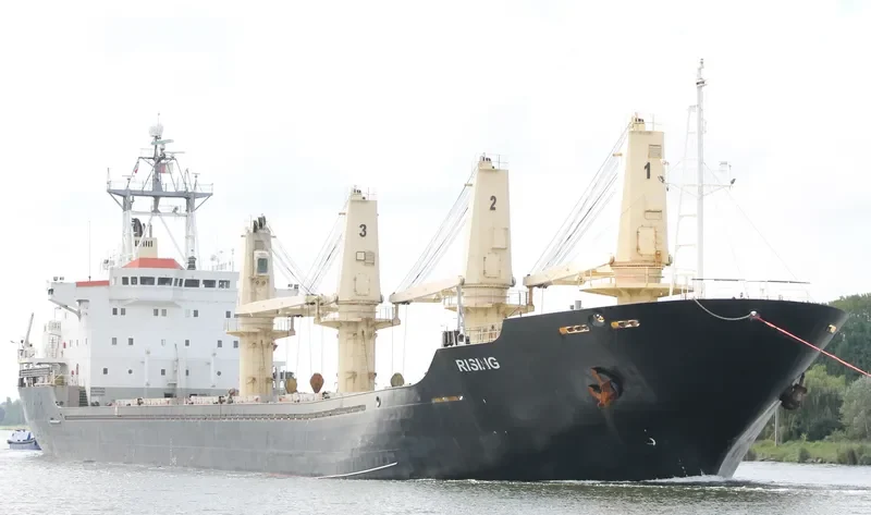 RISING Bulk Carrier IMO 9084267 photo 10