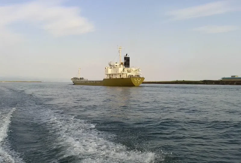 KIEI MARU Bulk Carrier IMO 9084308 photo 2