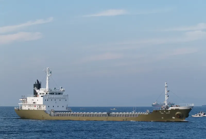 KIEI MARU Bulk Carrier IMO 9084308 photo 3