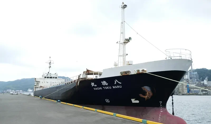 HACHITOKU MARU General Cargo IMO 9084310