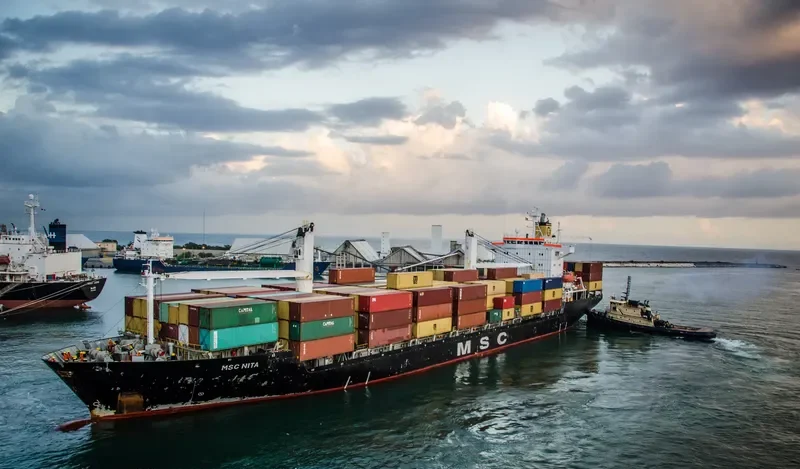 MSC NITA Container Ship IMO 9084607 photo 3