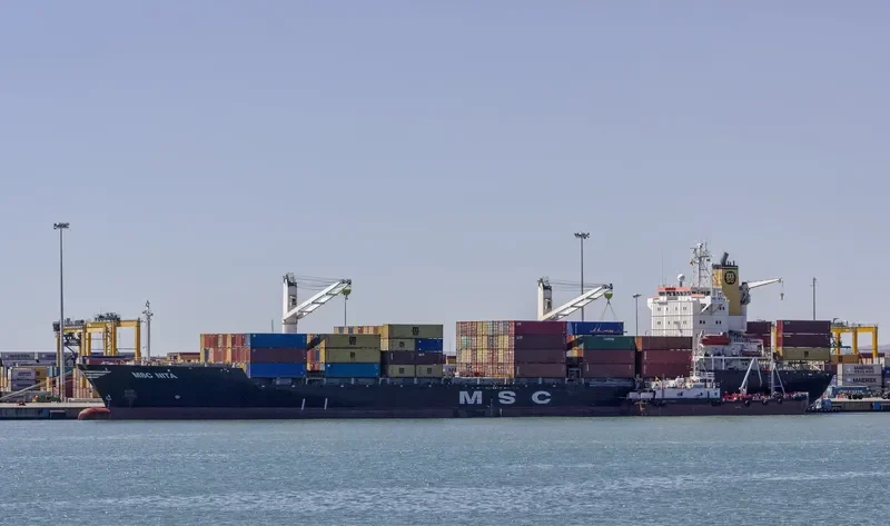 MSC NITA Container Ship IMO 9084607 photo 4