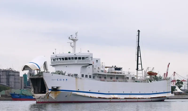 NEW KUNISAKI Ro-Ro IMO 9084853 photo 7