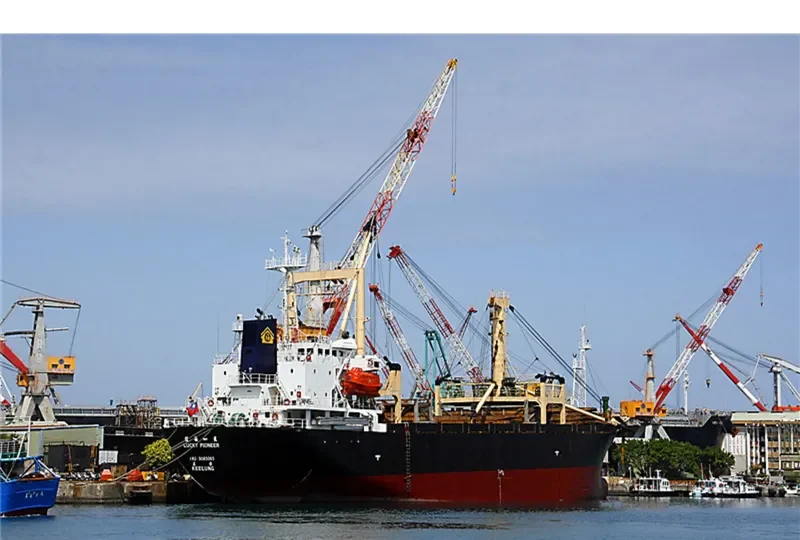 DONG YONG NO.8 General Cargo IMO 9085065 photo 2