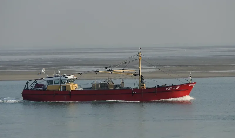YE56 PIETER General Cargo IMO 9085247