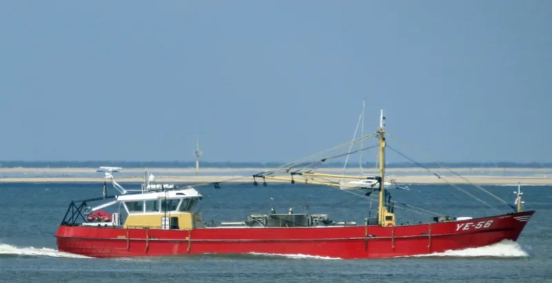 YE56 PIETER General Cargo IMO 9085247 photo 4