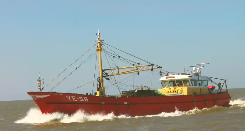 YE56 PIETER General Cargo IMO 9085247 photo 7