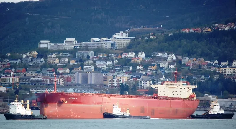 MOSEL N Bulk Carrier IMO 9085338 photo 5