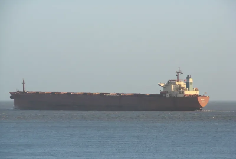 MOSEL N Bulk Carrier IMO 9085338 photo 7