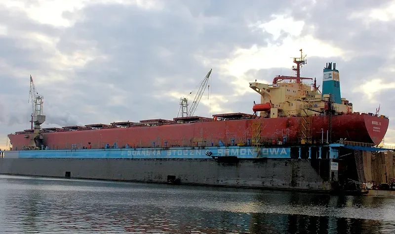 MOSEL N Bulk Carrier IMO 9085338 photo 8