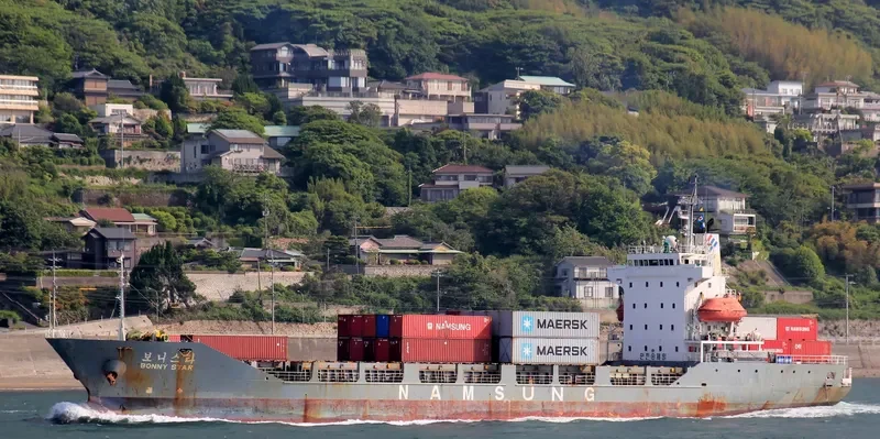 BONNY STAR Container Ship IMO 9085431 photo 8