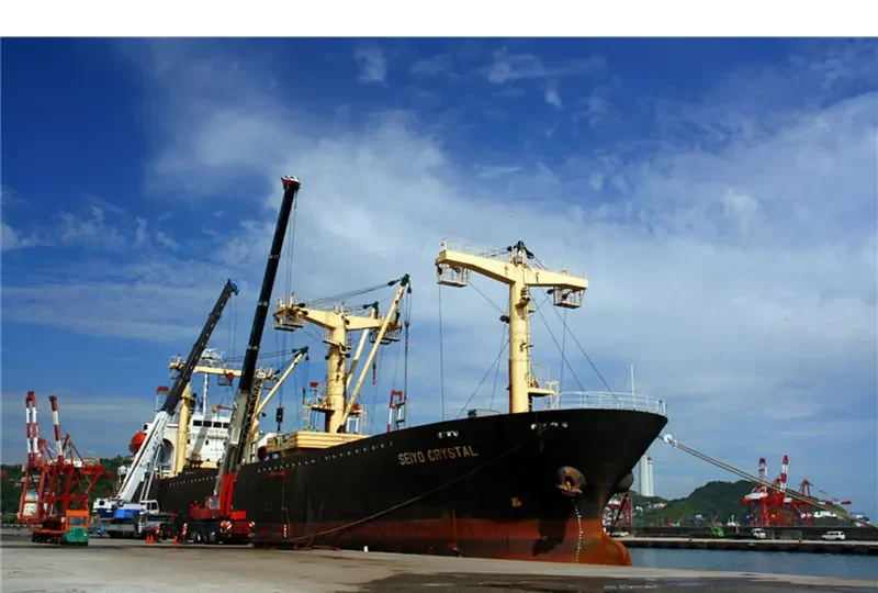 KOVALEVYCH General Cargo IMO 9085443 photo 3