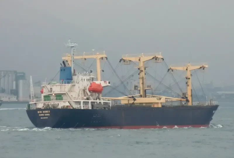 KOVALEVYCH General Cargo IMO 9085443 photo 8