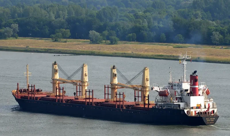 YAMTAI Bulk Carrier IMO 9085572 photo 3