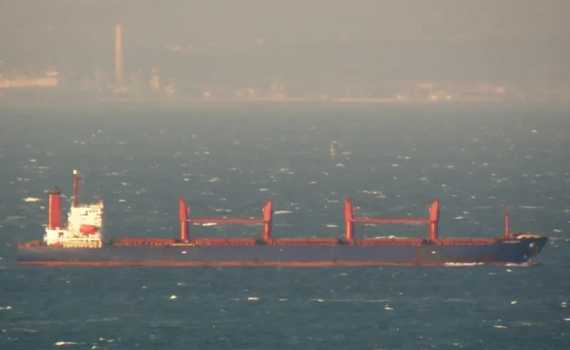 BEI JIANG Bulk Carrier IMO 9085584 photo 4