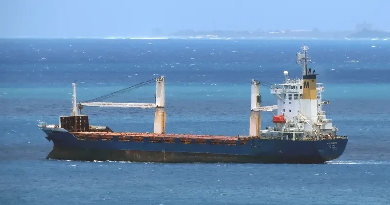 PSA AGILITY Container Ship IMO 9085596