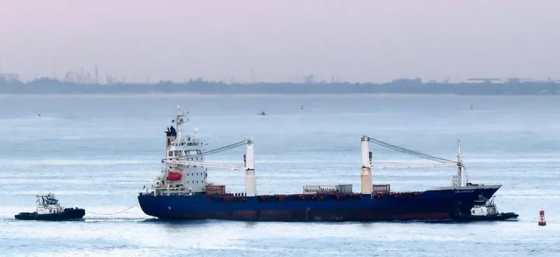 PSA AGILITY Container Ship IMO 9085596 photo 2
