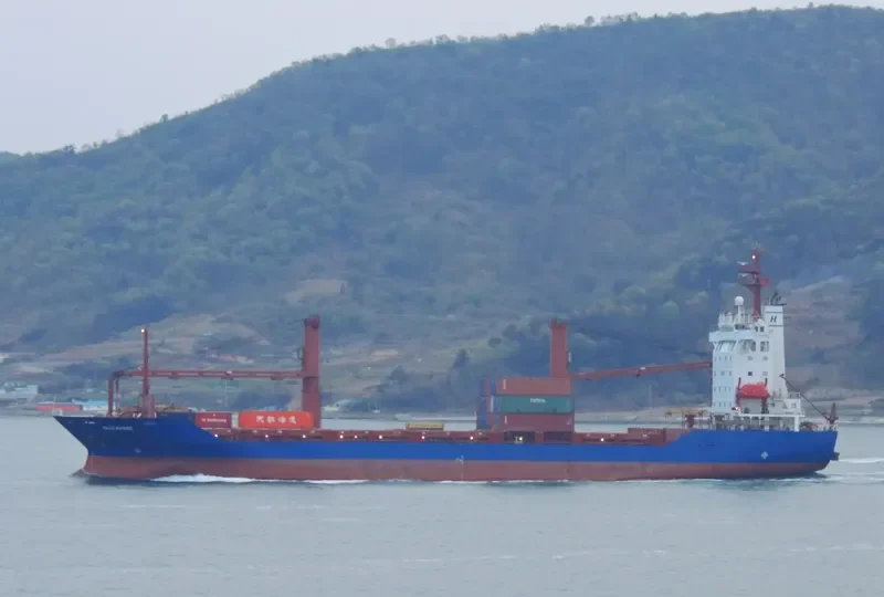 PSA AGILITY Container Ship IMO 9085596 photo 9
